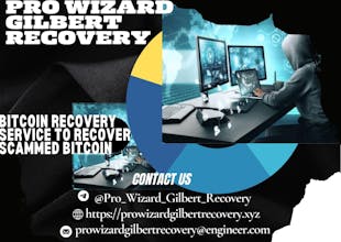 Expert Pro Wizard Gilbert Recovery gallery image