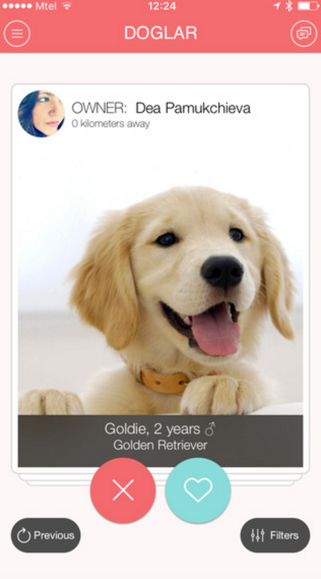 Doglar Tinder for dogs Product Hunt