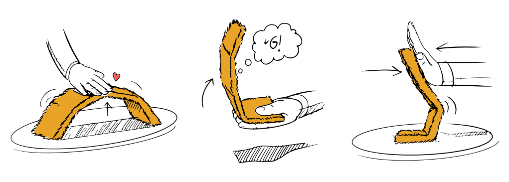 flatcat gallery image