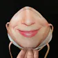 Face ID Respirator Masks
