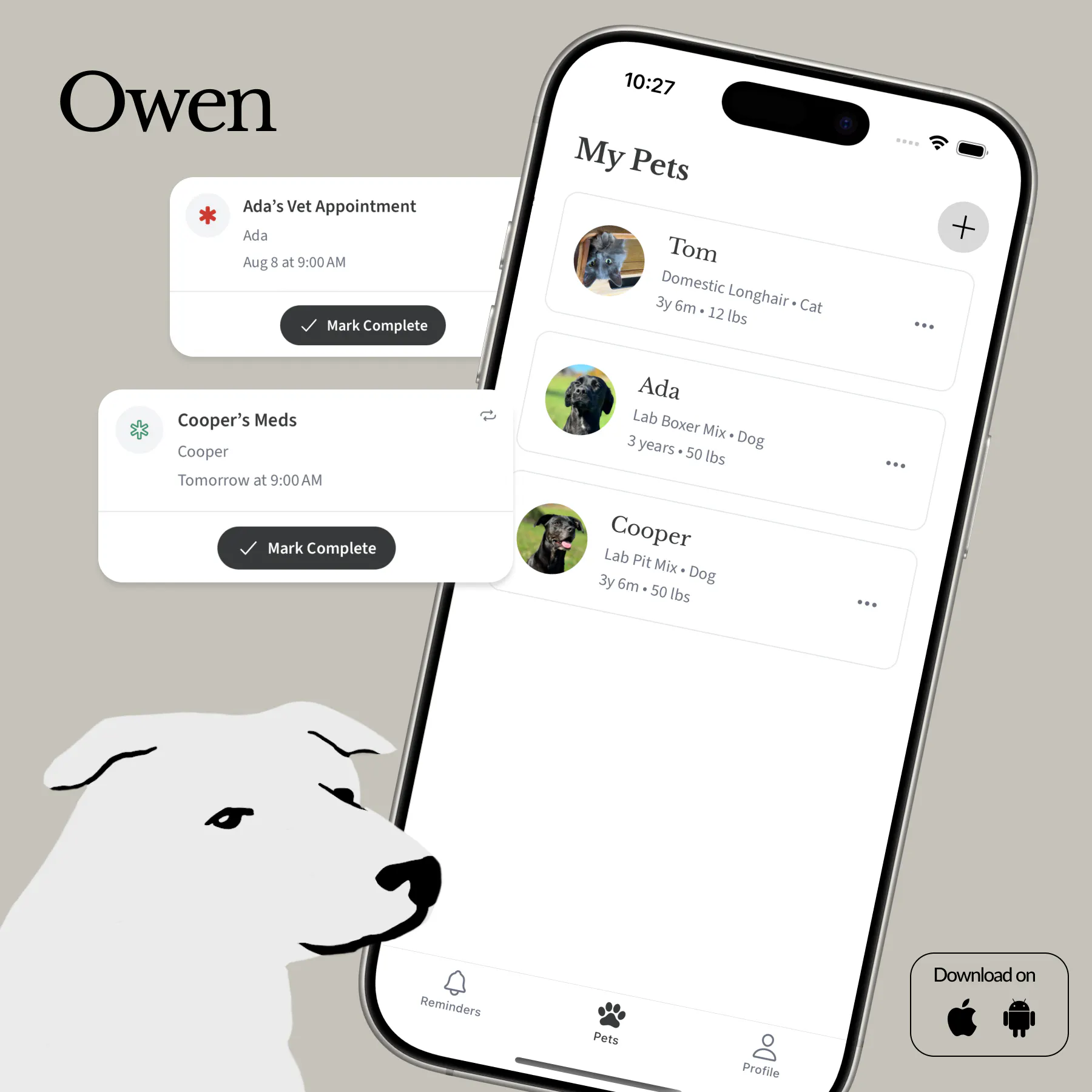 Owen gallery image