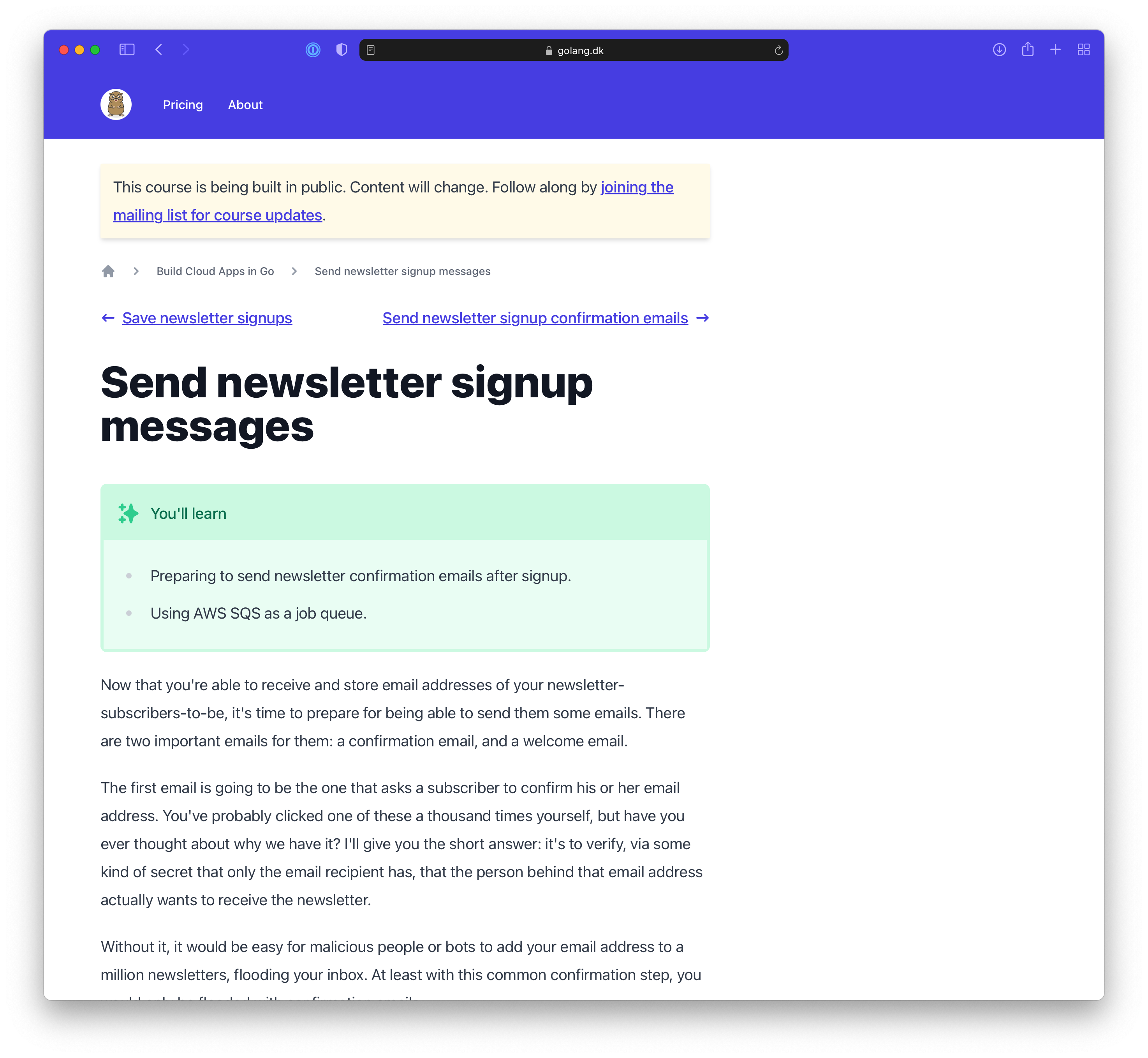golang.dk gallery image