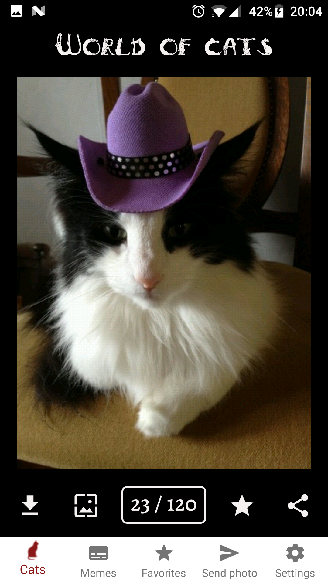 World of Cats gallery image