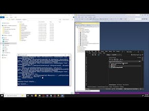 Spiderly gallery image