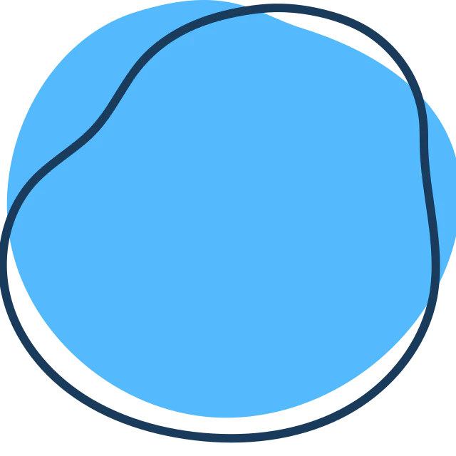 Write Lint logo