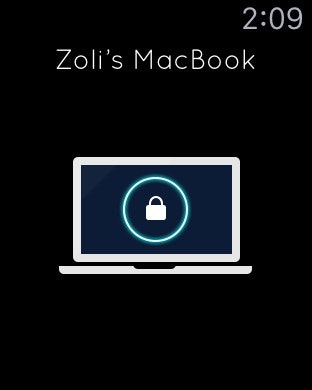 LockItUp Image