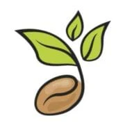 seedsstories.com logo