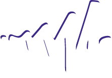 TheApp.vip gallery image