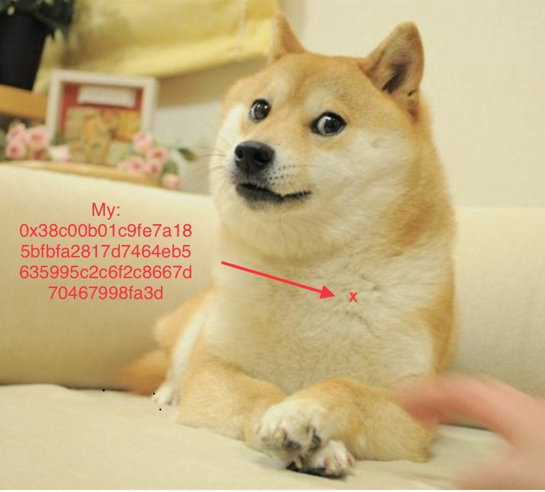 The Doge NFT gallery image