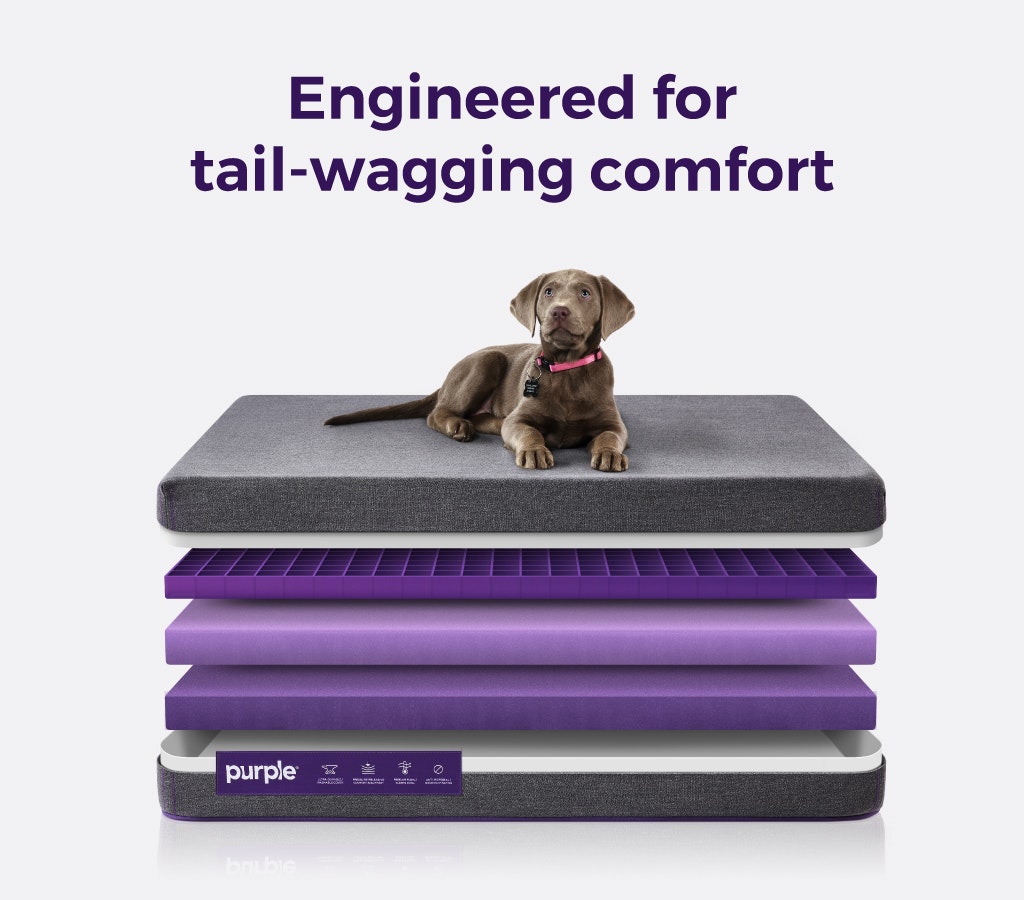 Purple Pet Bed gallery image