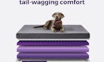 Purple Pet Bed image