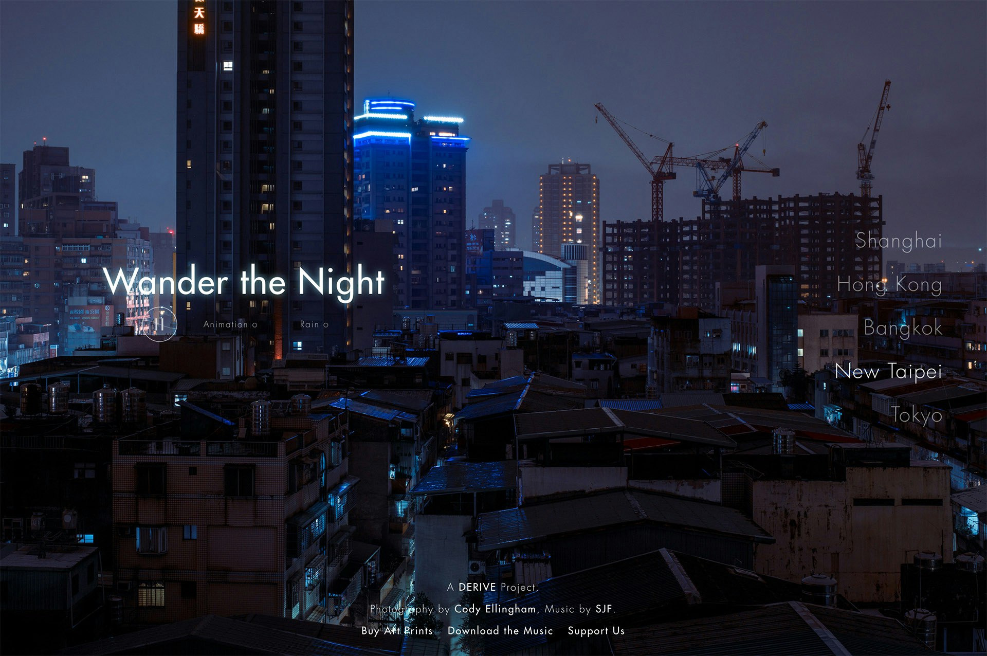 Wander the Night gallery image