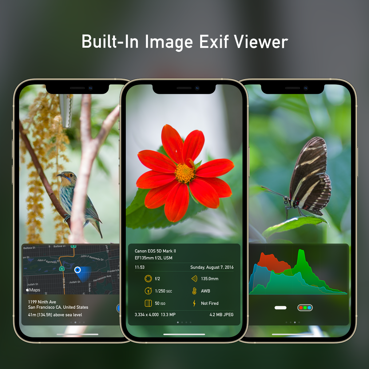 Camera M 4.0 gallery image