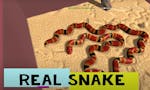 Real Snake image