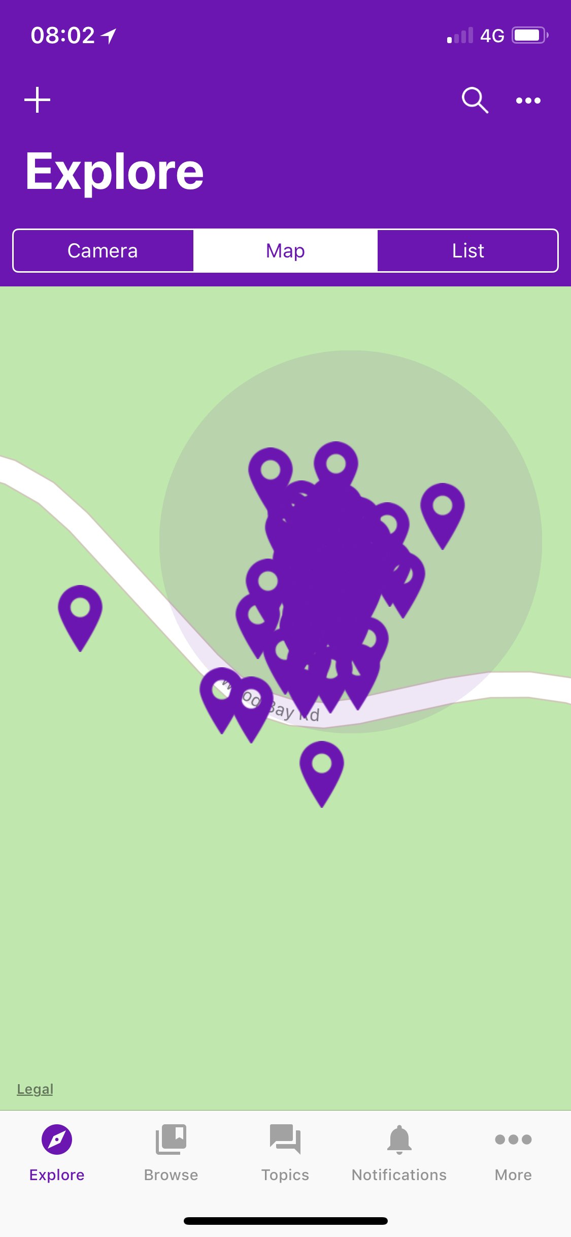 RealScape gallery image