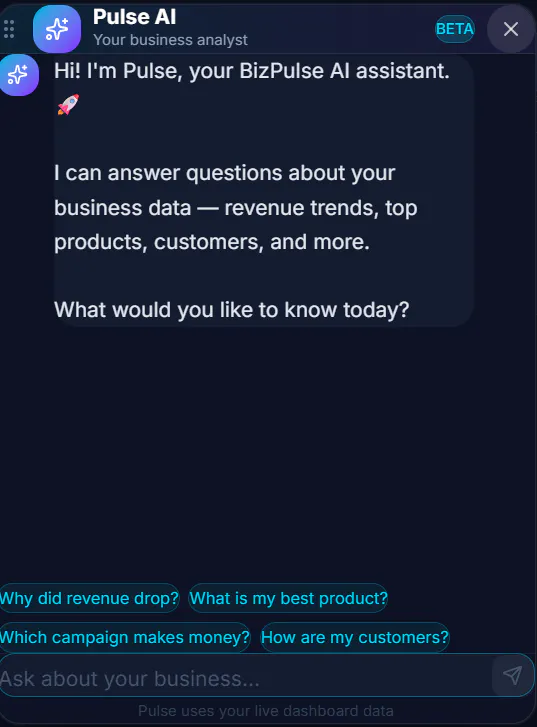 BizPulse — Business Analytics gallery image