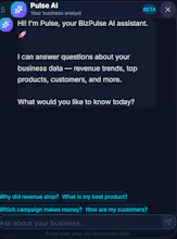 BizPulse — Business Analytics gallery image