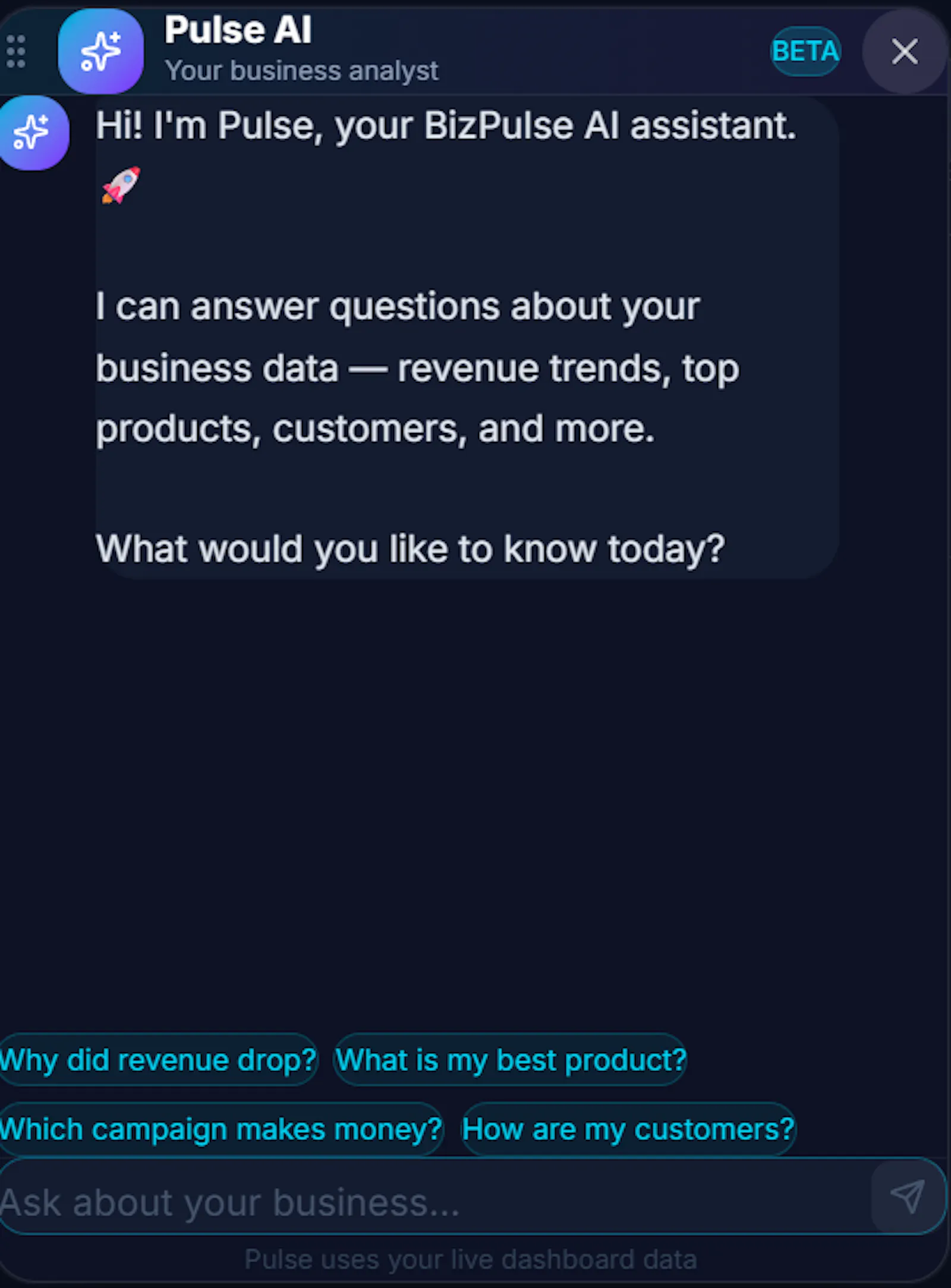 BizPulse — Business Analytics screenshot 7