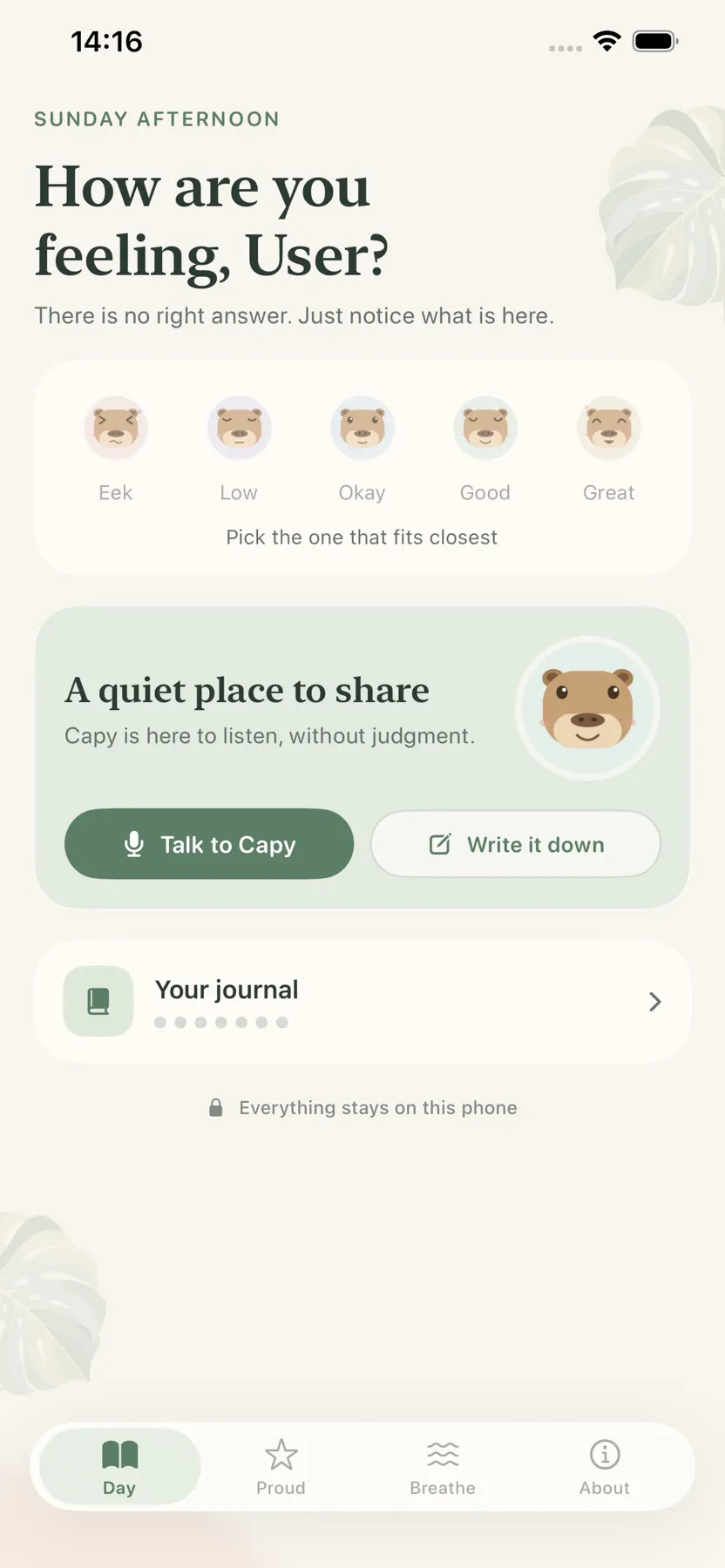 CapyDay: Reflect & Breathe gallery image