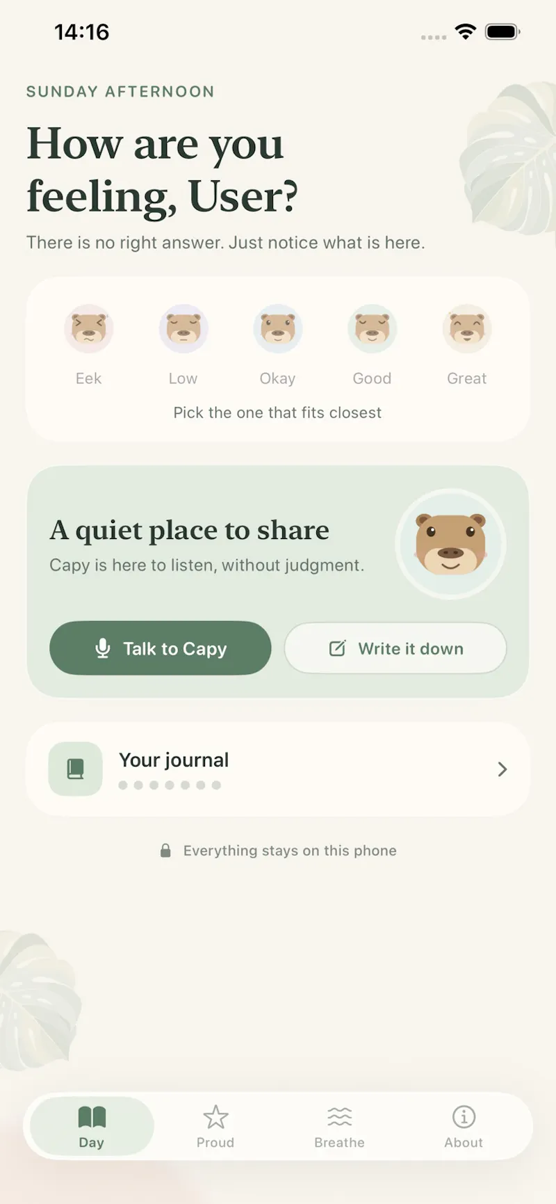 CapyDay: Reflect & Breathe screenshot 3