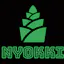 Nyokki