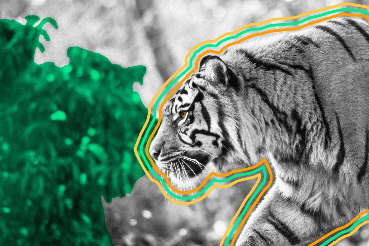 Interesting Facts gallery image