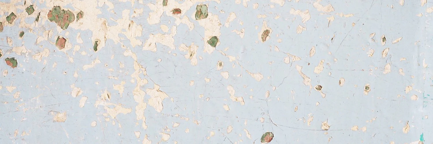 Antal János Monori cover