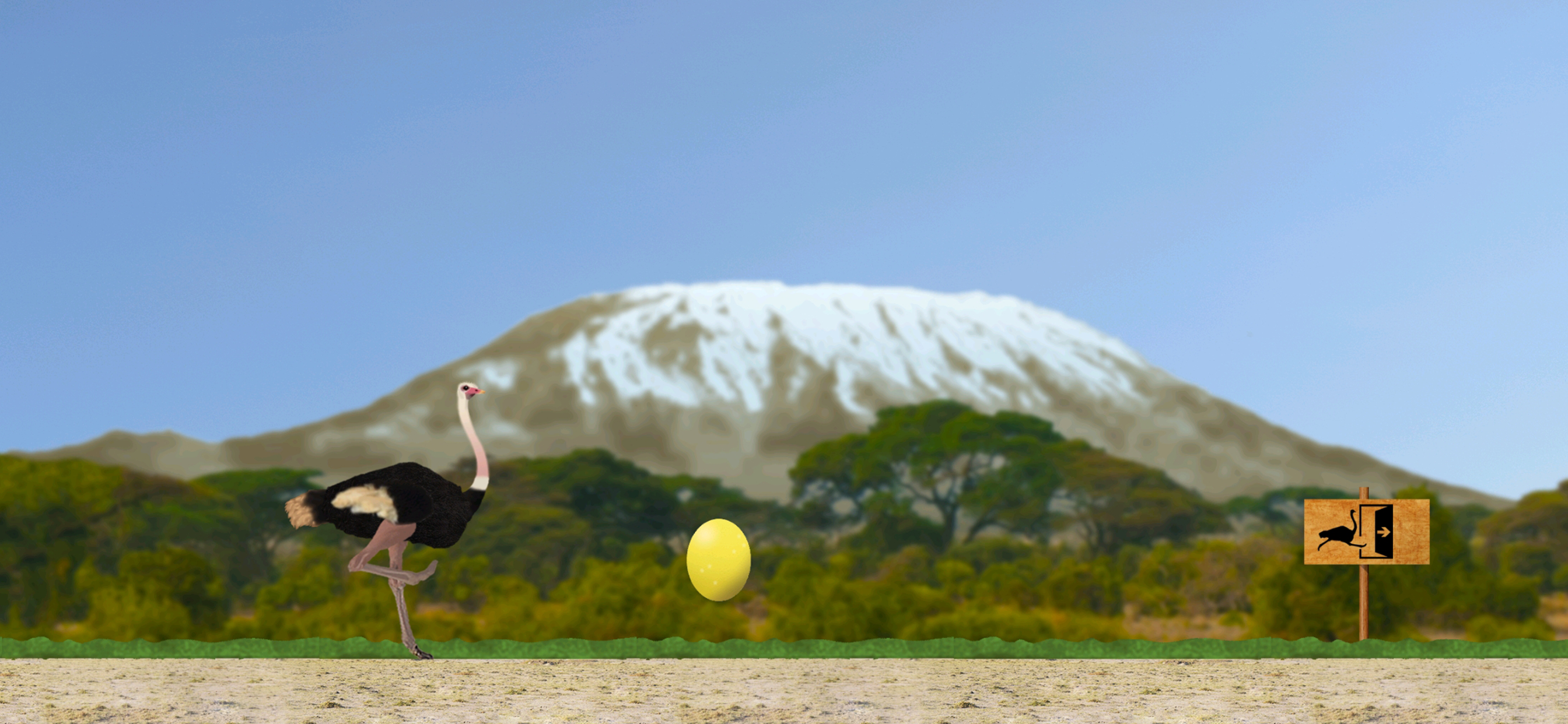 Ostrich gallery image