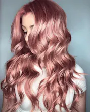 Black Rose Color Experts gallery image