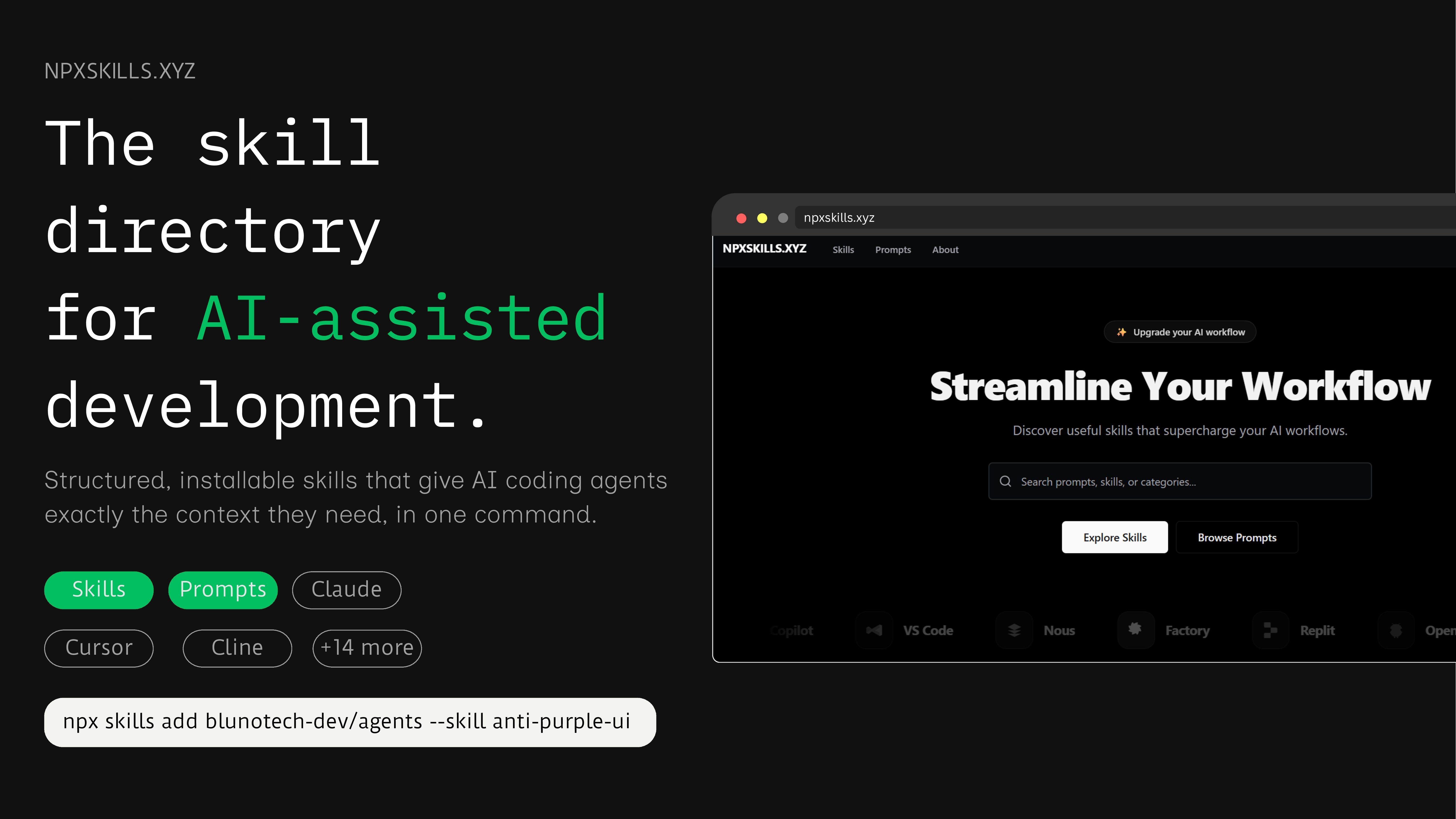 npxskills.xyz gallery image