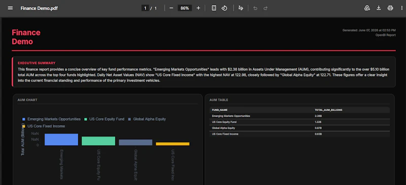OpenBI screenshot 11