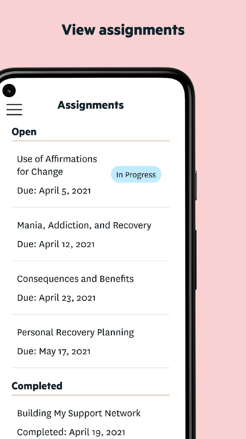 Alleva gallery image