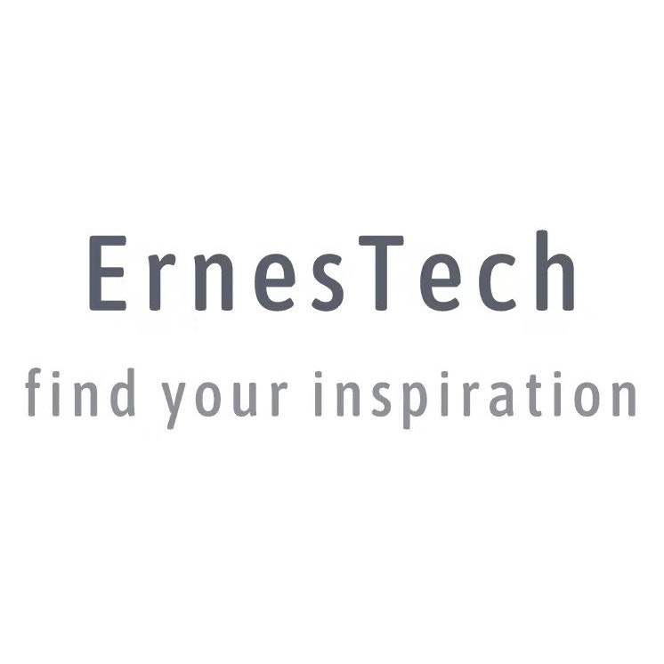 ErnesTech