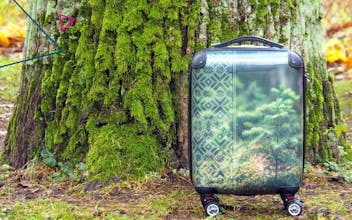 RAIBUM gallery image