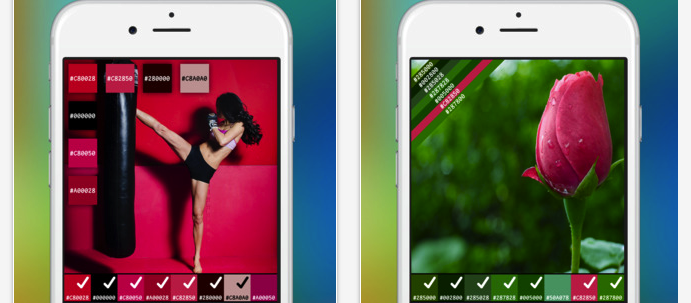 Snap Palette gallery image