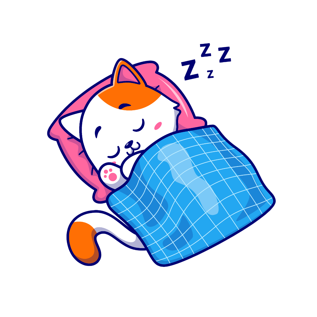 Despierta la gatita media 2