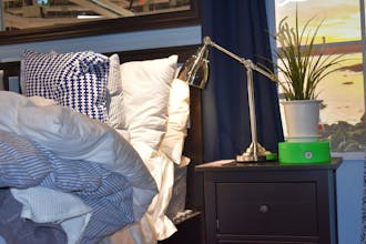 Goldoon: Smart Self-watering Planter gallery image