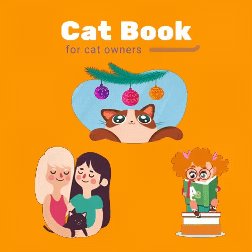 Healthy Relationship With Cats