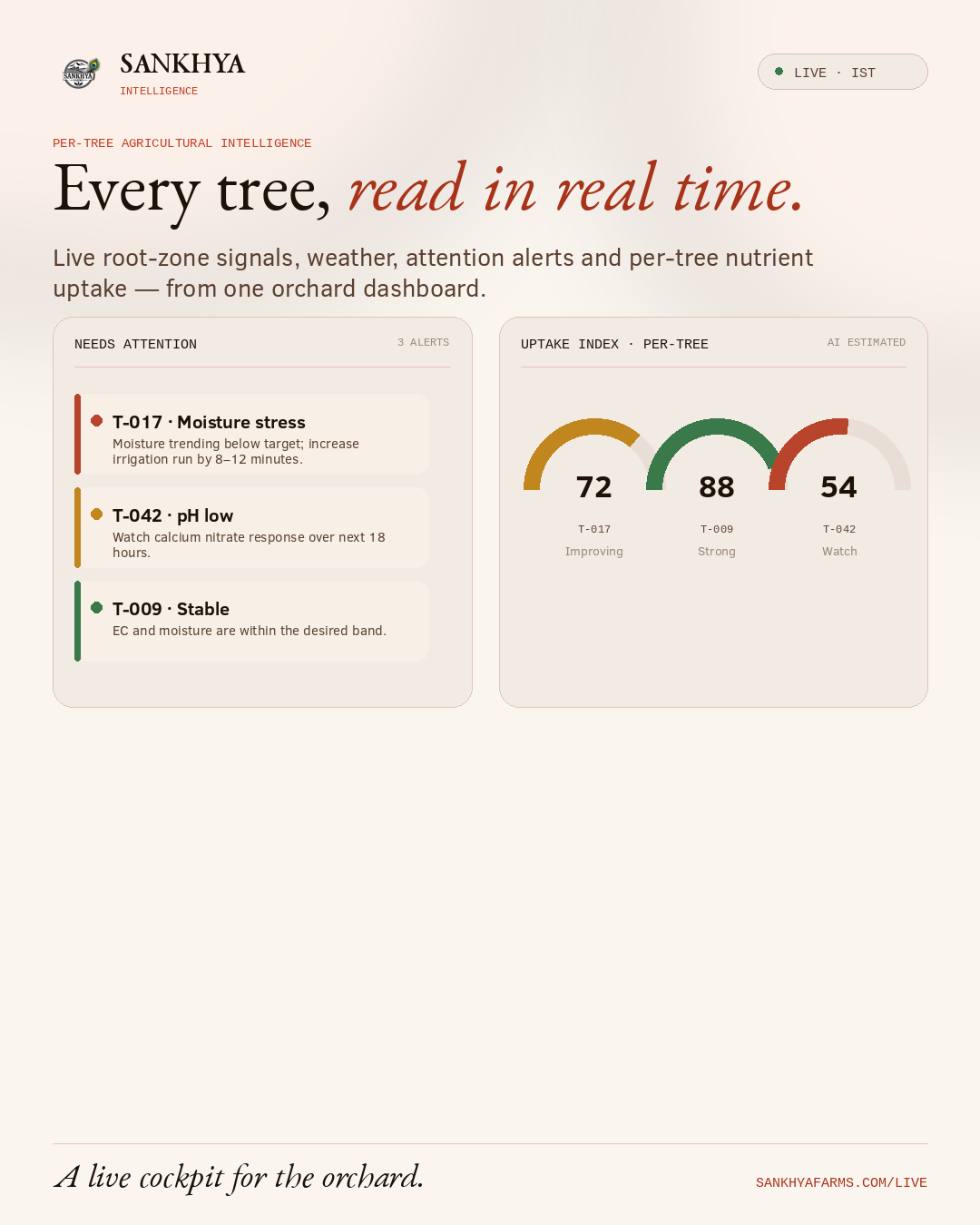 Sankhya Tree Intelligence gallery image