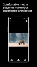 Neo Vault gallery image