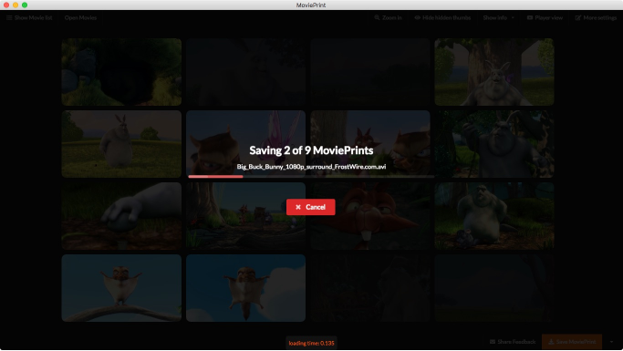 MoviePrint gallery image