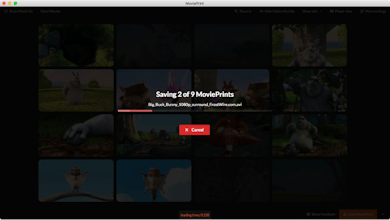 MoviePrint gallery image