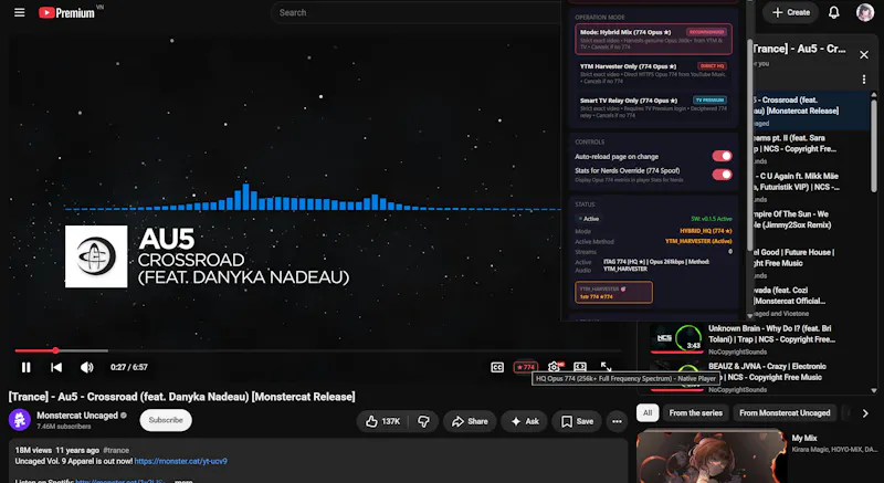 YTSpoofingStream screenshot 3