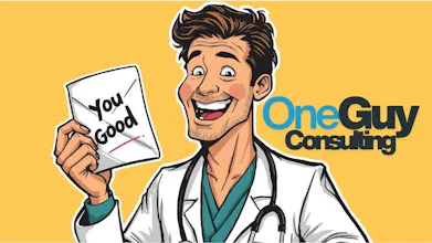 One Guy Consulting gallery image