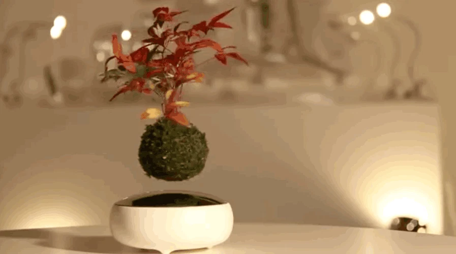 Air Bonsai
