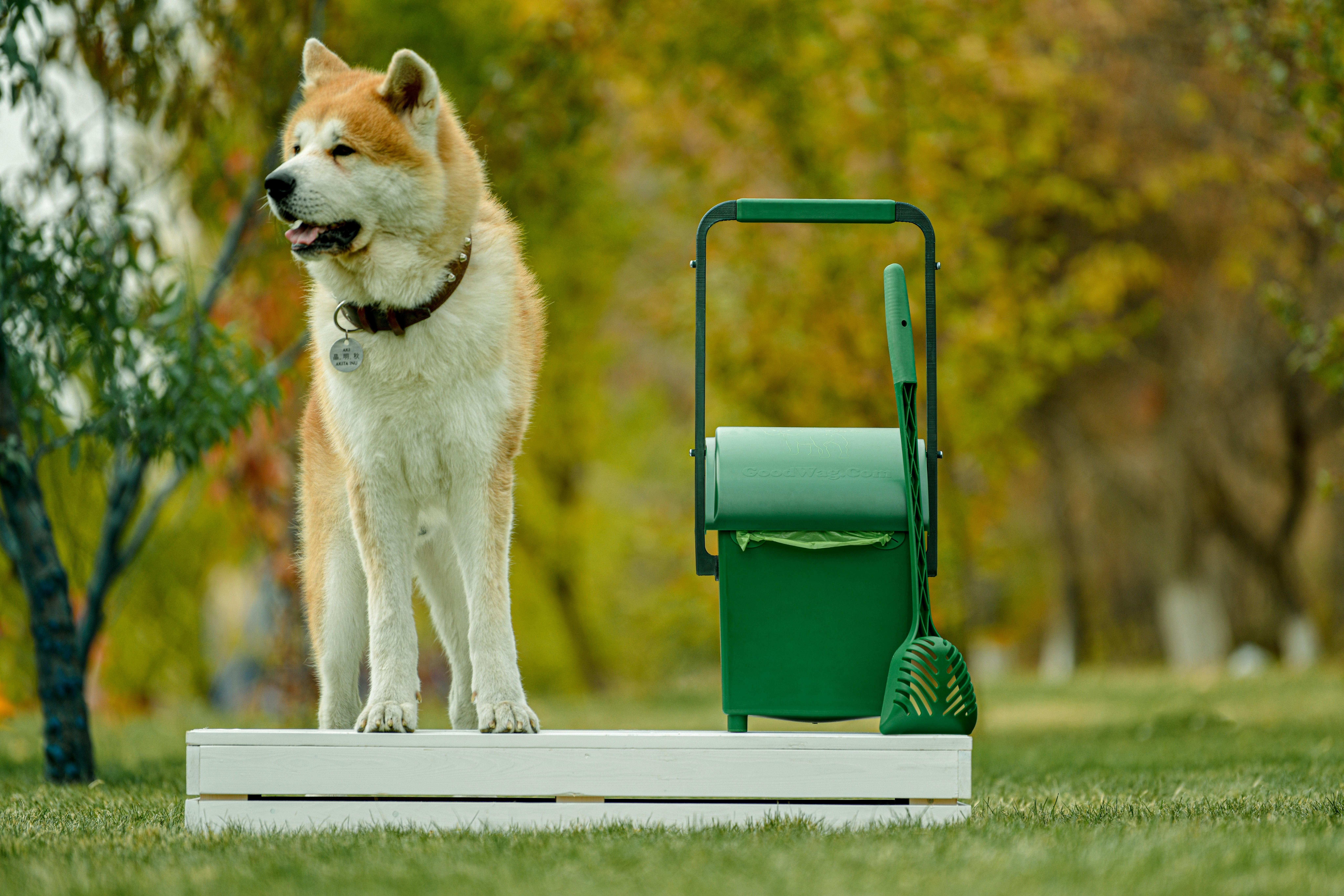 PooPail gallery image