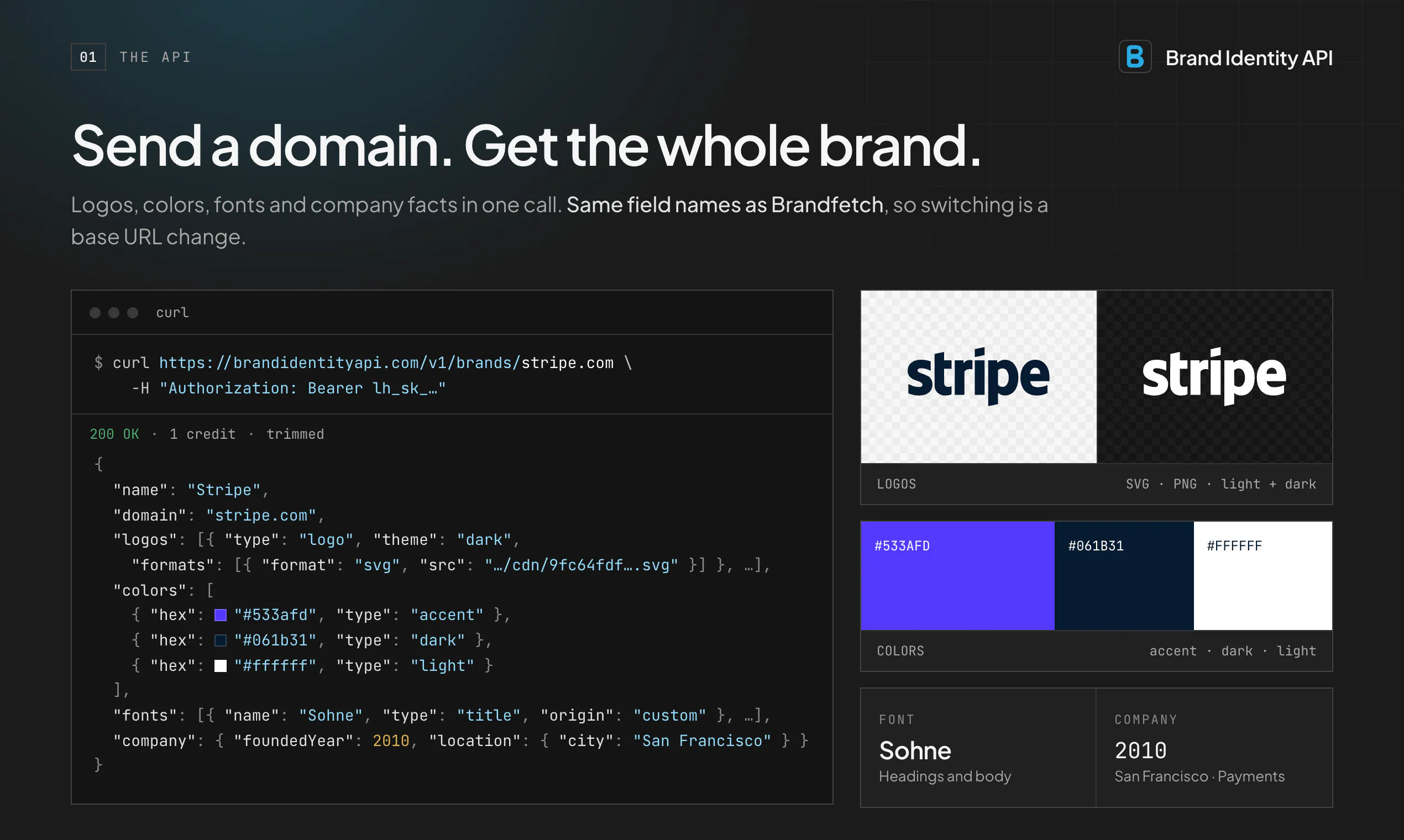 Brand Identity API screenshot 2