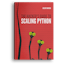 Scaling Python