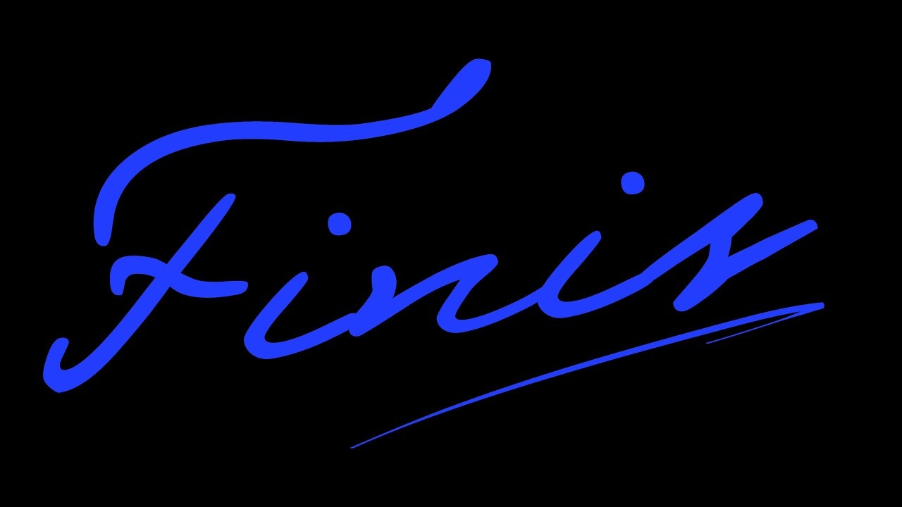 FINIS  gallery image