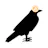 Crypto Ravens
